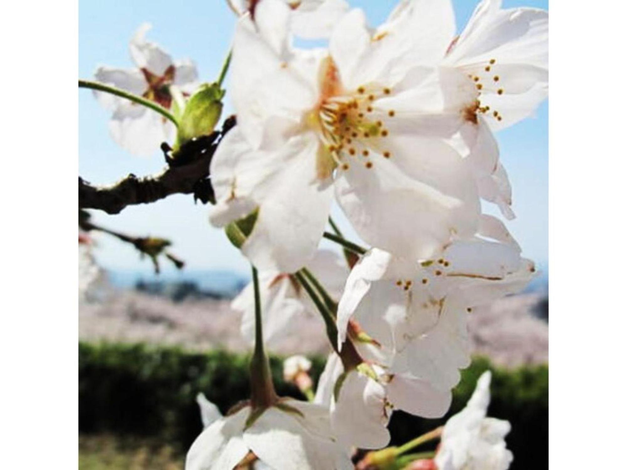 Tottori City Hotel / Vacation Stay 81359 Luaran gambar